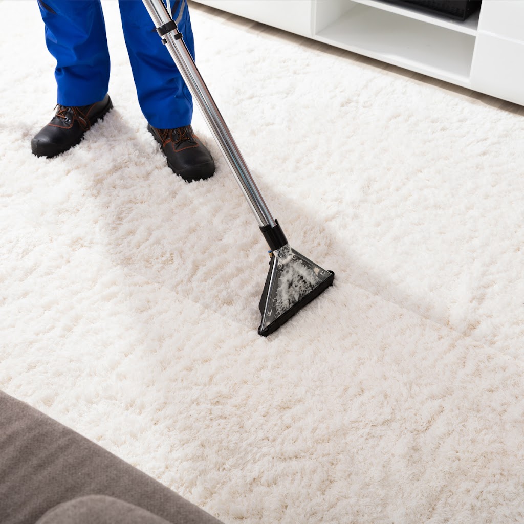 Organic Rug & Carpet Cleaning | 907 Carol Ave, Woodmere, NY 11598, USA | Phone: (516) 403-2157