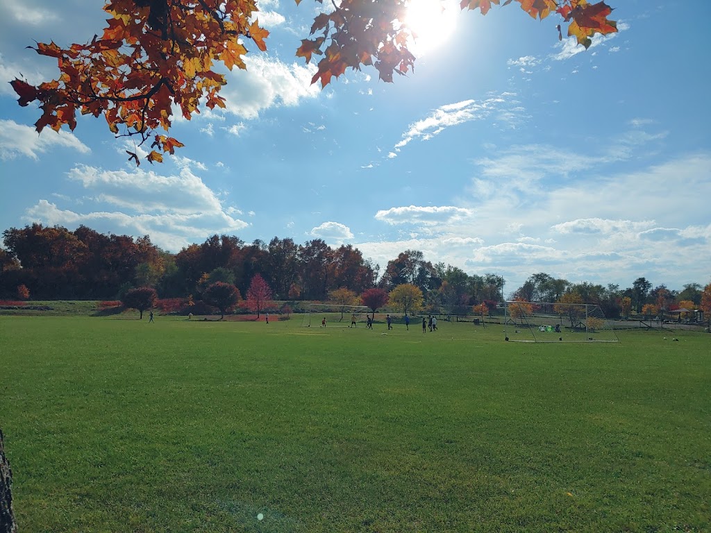 Olson Dog Park | Off-leash Dog Play Area, 1551 Dhu Varren Rd, Ann Arbor, MI 48105, USA | Phone: (734) 794-6230