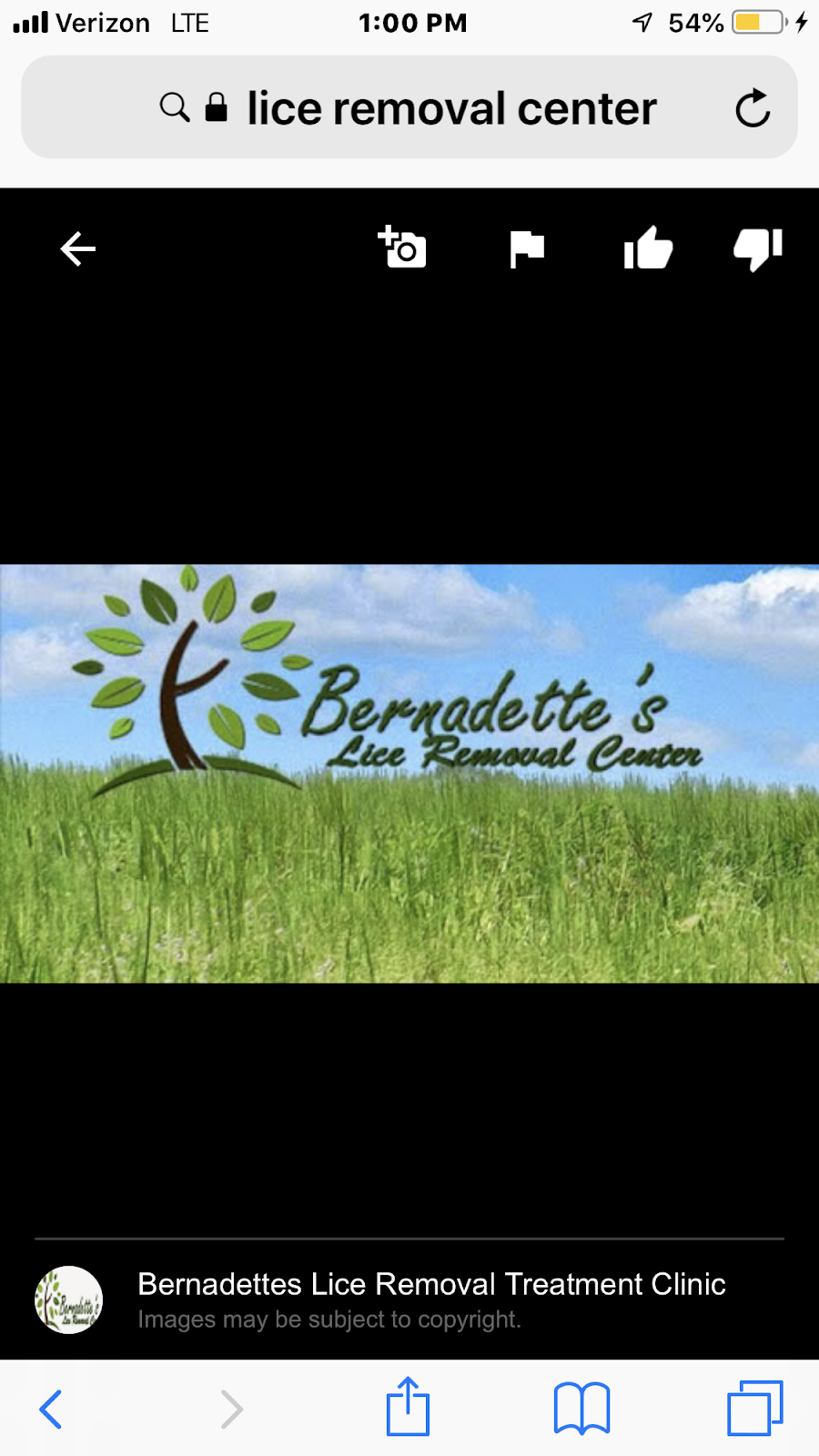 Bernadettes Lice Removal | 33467 Lake Rd #203, Avon Lake, OH 44012, USA | Phone: (440) 744-5423