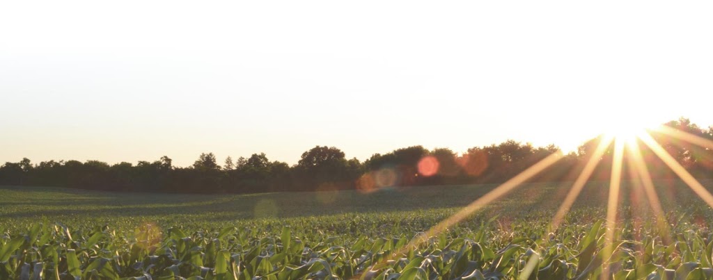 Energique Inc. | 201 Apple Blvd, Woodbine, IA 51579, USA | Phone: (800) 869-8078