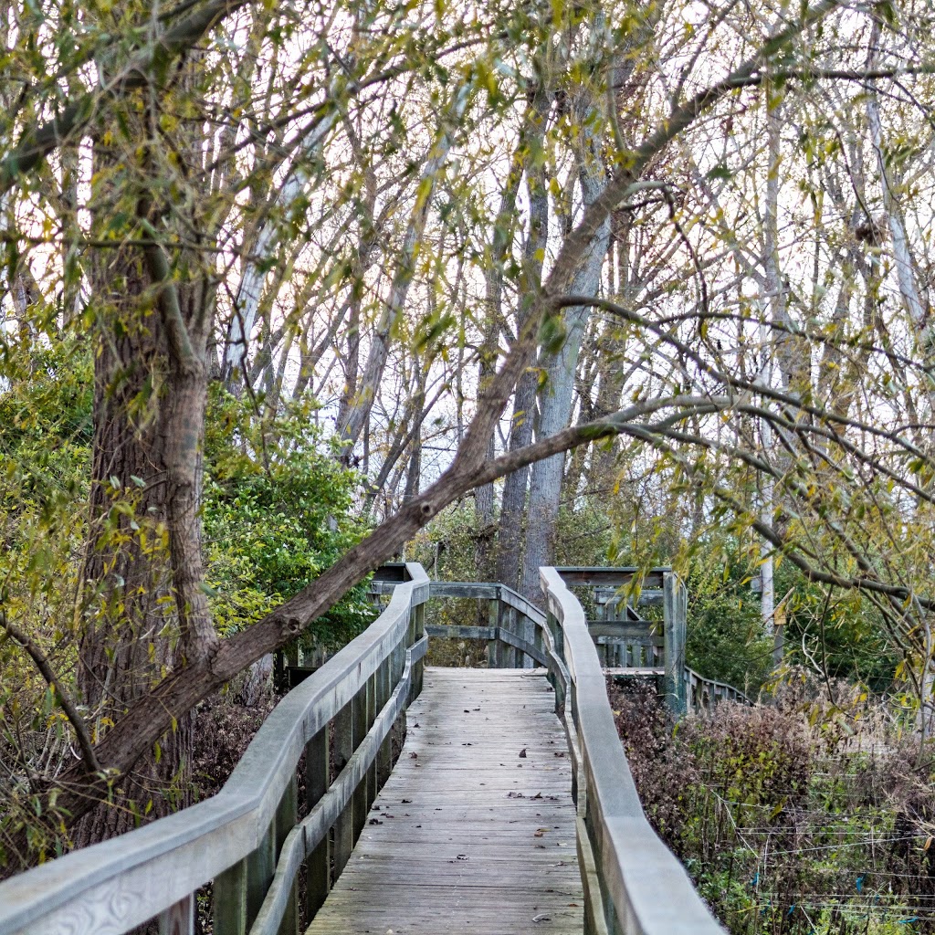 Tifft Nature Preserve | 1200 Fuhrmann Boulevard, Buffalo, NY 14203, USA | Phone: (716) 825-6397