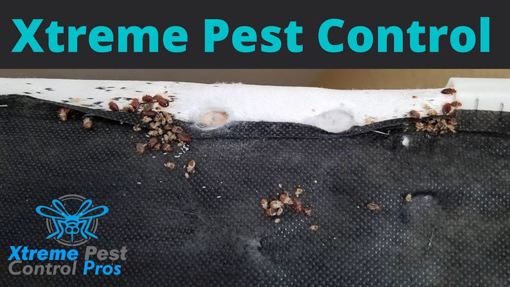 Xtreme Pest Control | 1147 Brookview Cir, Pickerington, OH 43147, USA | Phone: (740) 660-3671