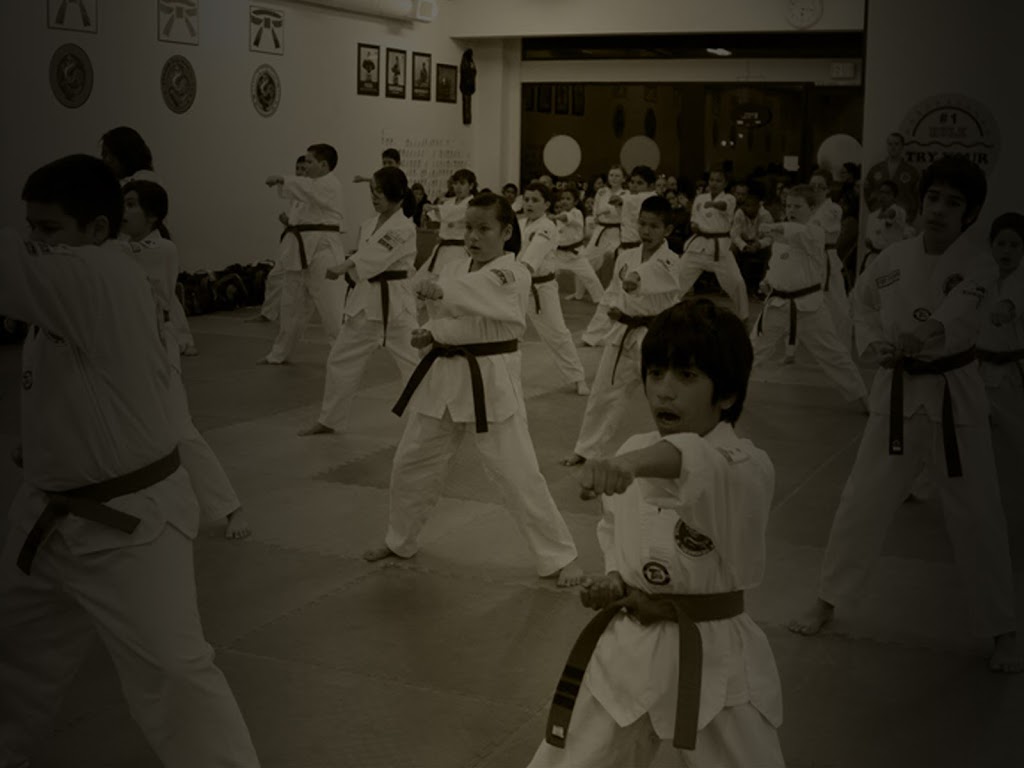 Dragon Han Martial Arts | 4621 E Avenue S, Palmdale, CA 93552, USA | Phone: (661) 860-1123