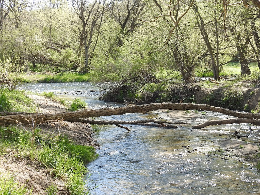 The Community Forest | County Trunk Hwy Ff, River Falls, WI 54022, USA | Phone: (715) 425-5738