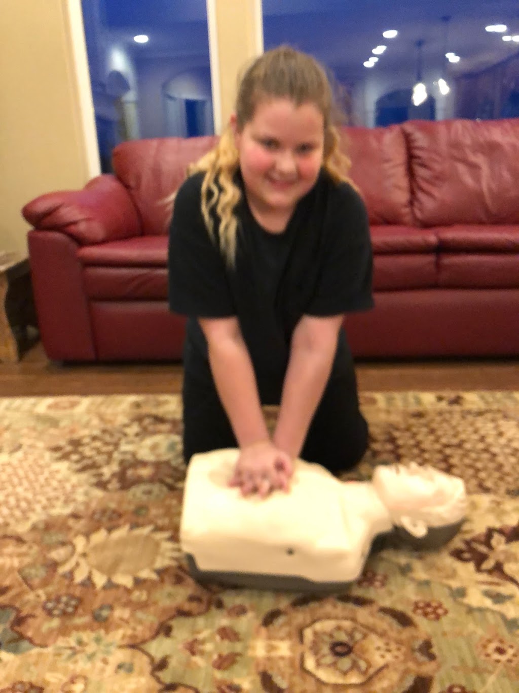 Mat-Su Valley CPR | 699 W Charlottes Cir, Wasilla, AK 99654 | Phone: (907) 250-8342