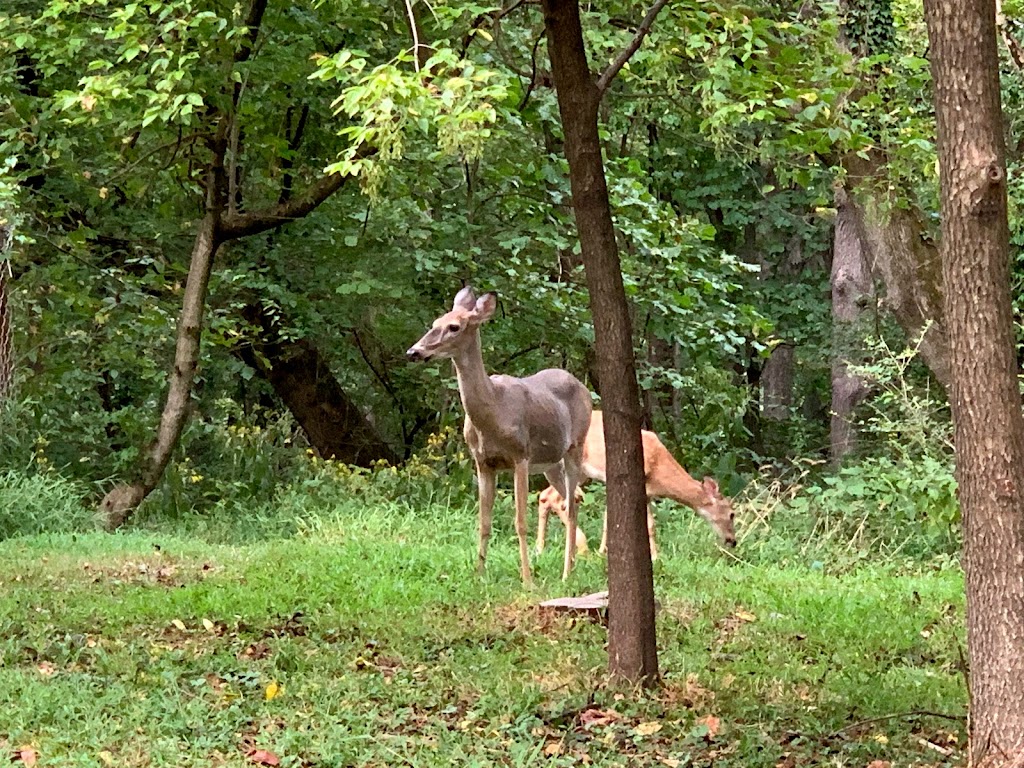 Potomac Overlook Regional Park | 2845 Marcey Rd, Arlington, VA 22207, USA | Phone: (703) 528-5406