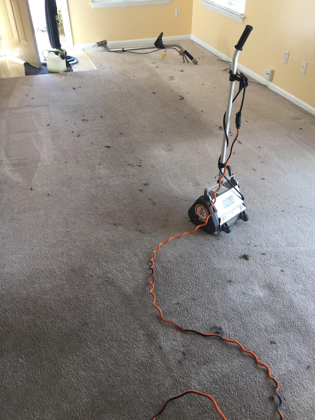 Piasecki Carpet and Upholstery Cleaning | Carter Rd, Carleton, MI 48117, USA | Phone: (313) 220-5538
