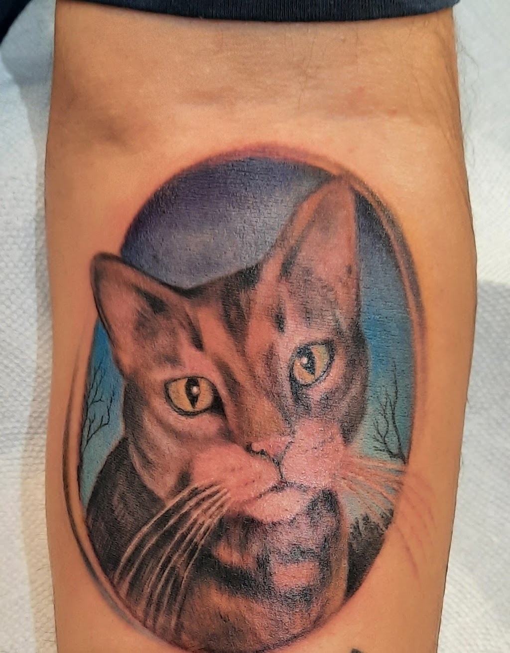 Carson Street Tattoo | 1309 E Carson St, Pittsburgh, PA 15203 | Phone: (412) 904-2165