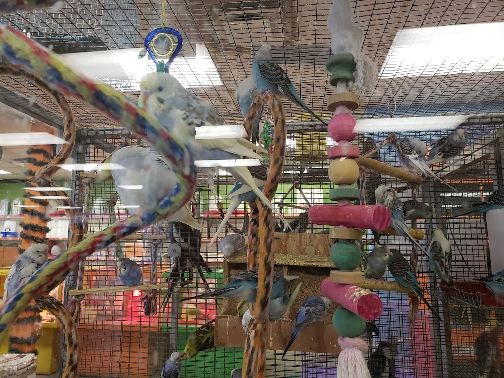 Pratts Pets - Glendale | 5237 W Glendale Ave, Glendale, AZ 85301, USA | Phone: (623) 939-3326