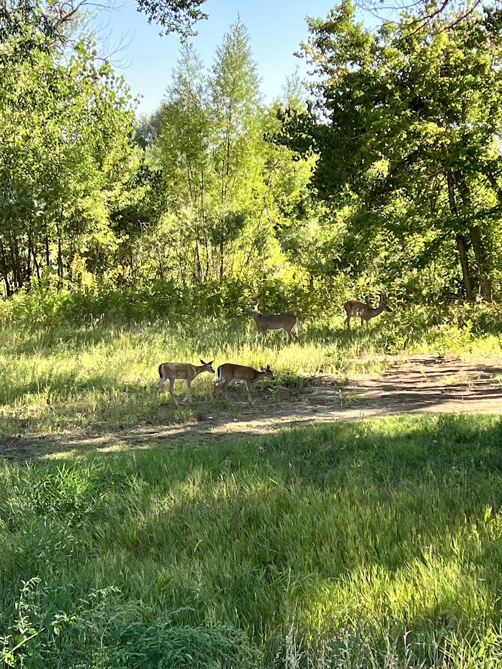 Sweet Heart Winery & Event Center | 5500 W US-34, Loveland, CO 80537, USA | Phone: (970) 646-4314