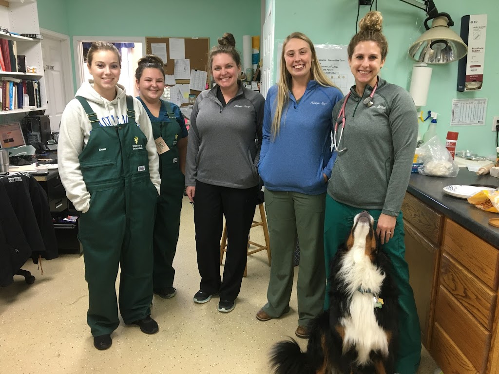 Minnesota Valley Vet Services | 500 Doppy Ln, Le Sueur, MN 56058, USA | Phone: (507) 665-2371