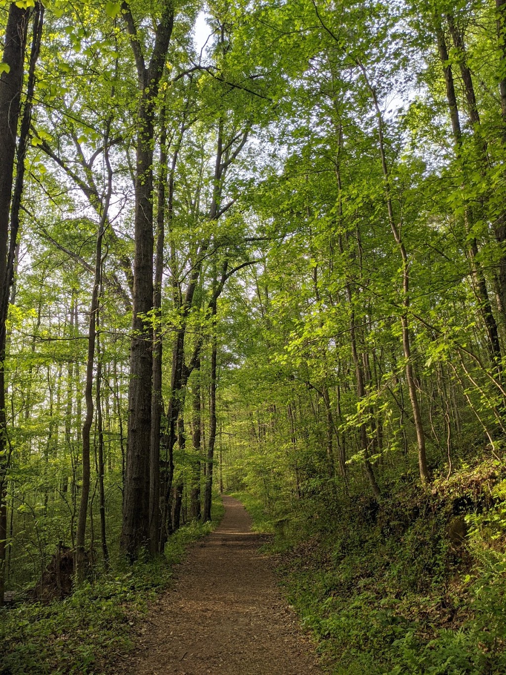 Chattahoochee River National Recreation Area, Cochran Shoals Unit | 152 Columns Dr, Marietta, GA 30067, USA | Phone: (678) 538-1200