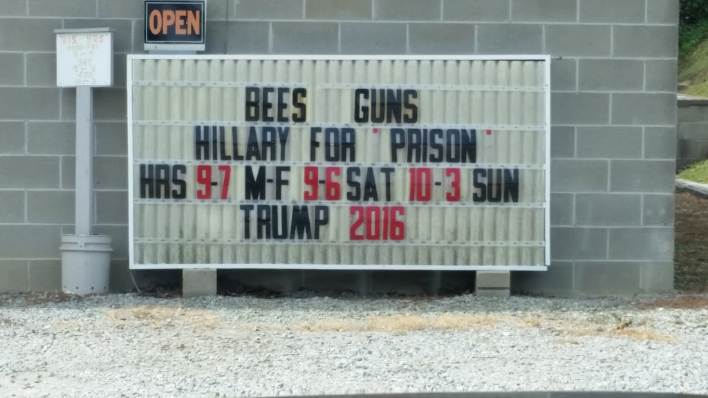 Bees Guns | 961 County Rd, Saltsburg, PA 15681, USA | Phone: (724) 639-9707