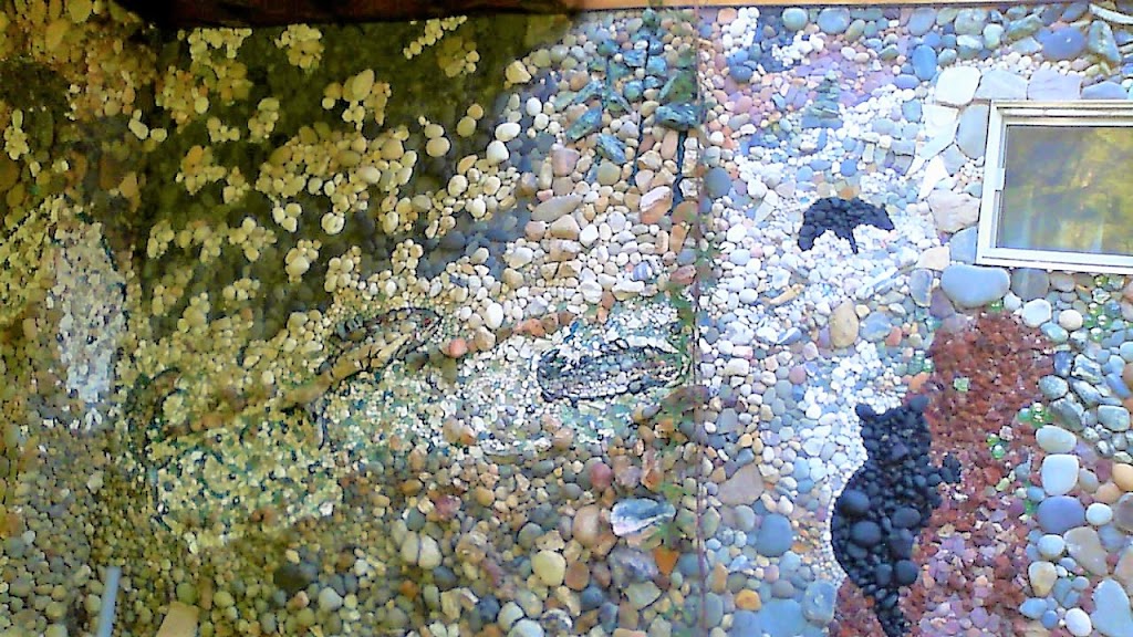 Butlers Farm | 3414 137th St NW, Gig Harbor, WA 98332, USA | Phone: (253) 241-9594