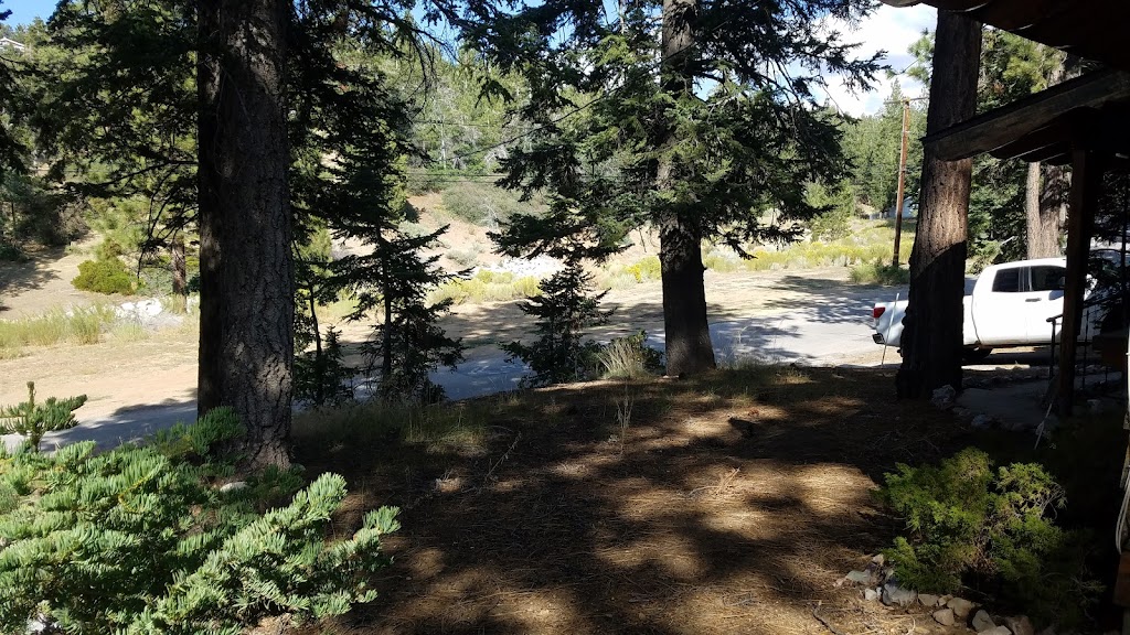 Big Bear Mountain Cabin | 43578 Yosemite Dr, Big Bear Lake, CA 92315, USA | Phone: (818) 687-4884