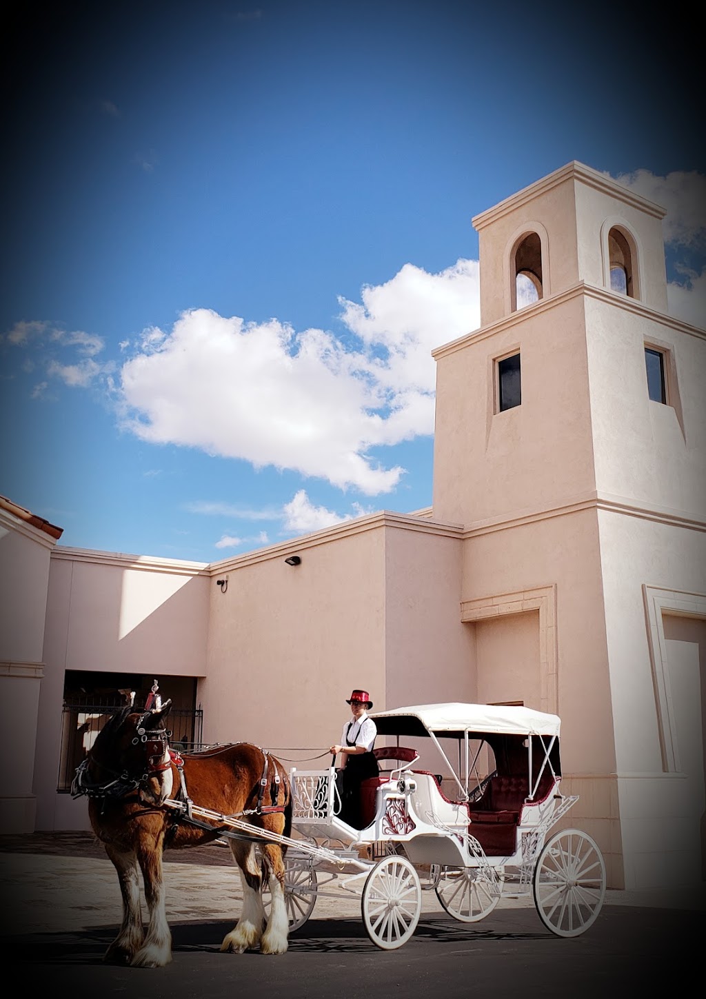 St. Thomas the Apostle Roman Catholic Parish | 5150 N Valley View Rd, Tucson, AZ 85718 | Phone: (520) 577-8780