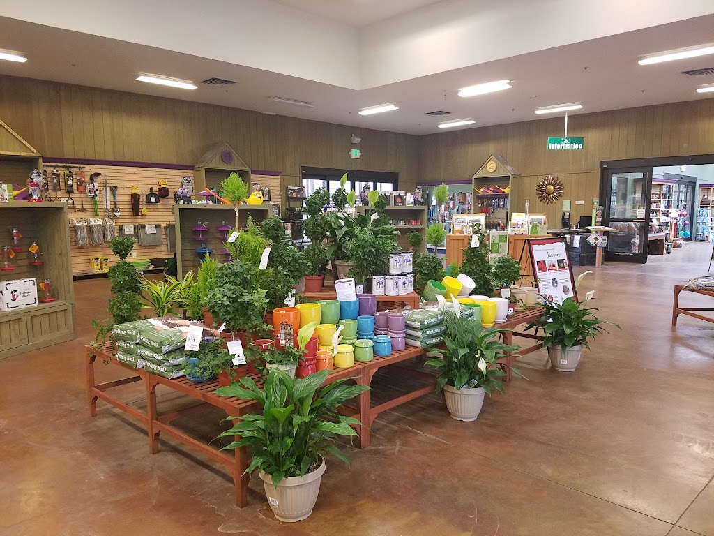 Sloat Garden Center | 800 Camino Ramon, Danville, CA 94526, USA | Phone: (925) 837-9144