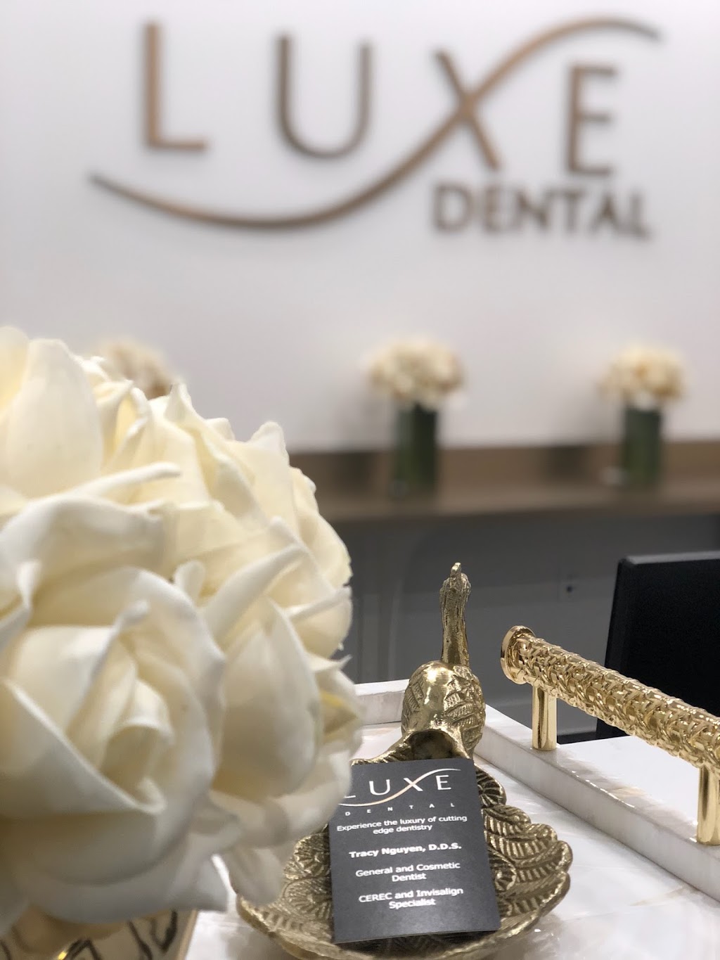 Luxe Dental | 2990 Nowitzki Way #150, Dallas, TX 75219, USA | Phone: (214) 416-9931