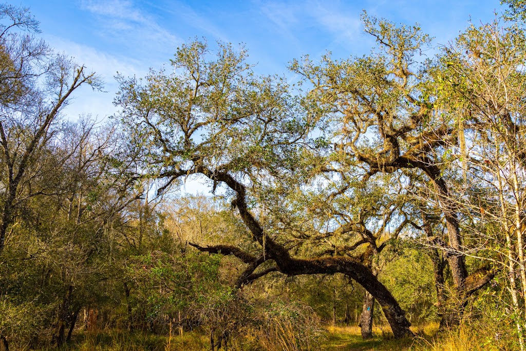 Croom Wildlife Management Area | Brooksville, FL 34602, USA | Phone: (352) 797-5759