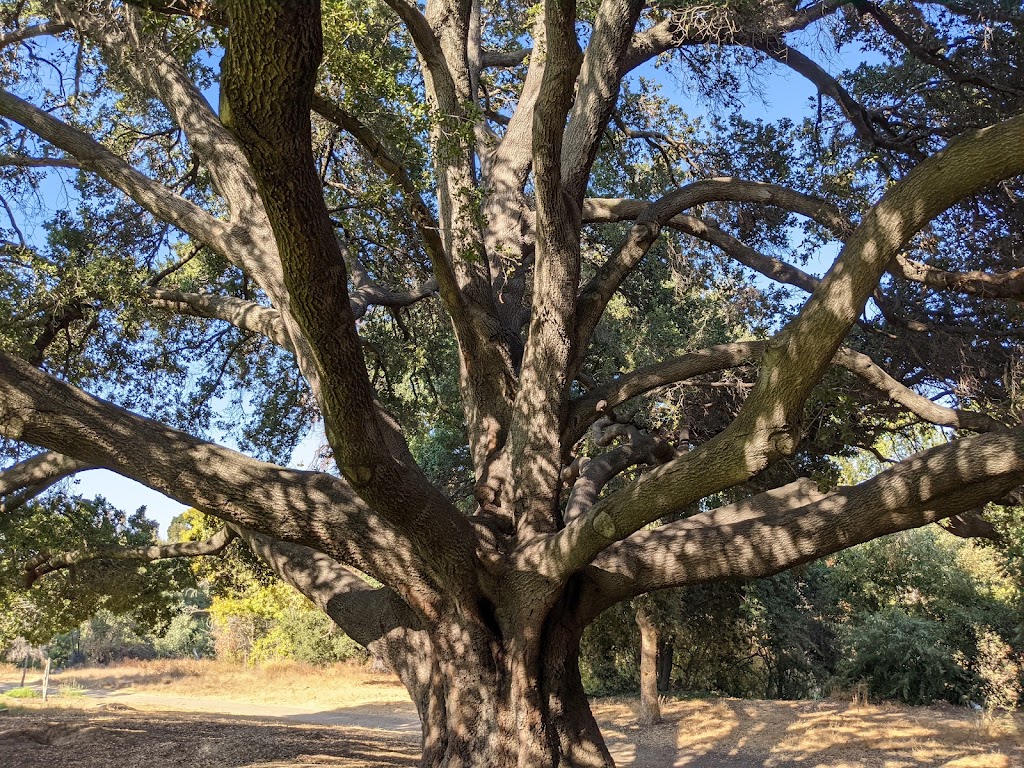 William Street Park | E William St & S 16th St, San Jose, CA 95112 | Phone: (408) 793-5510