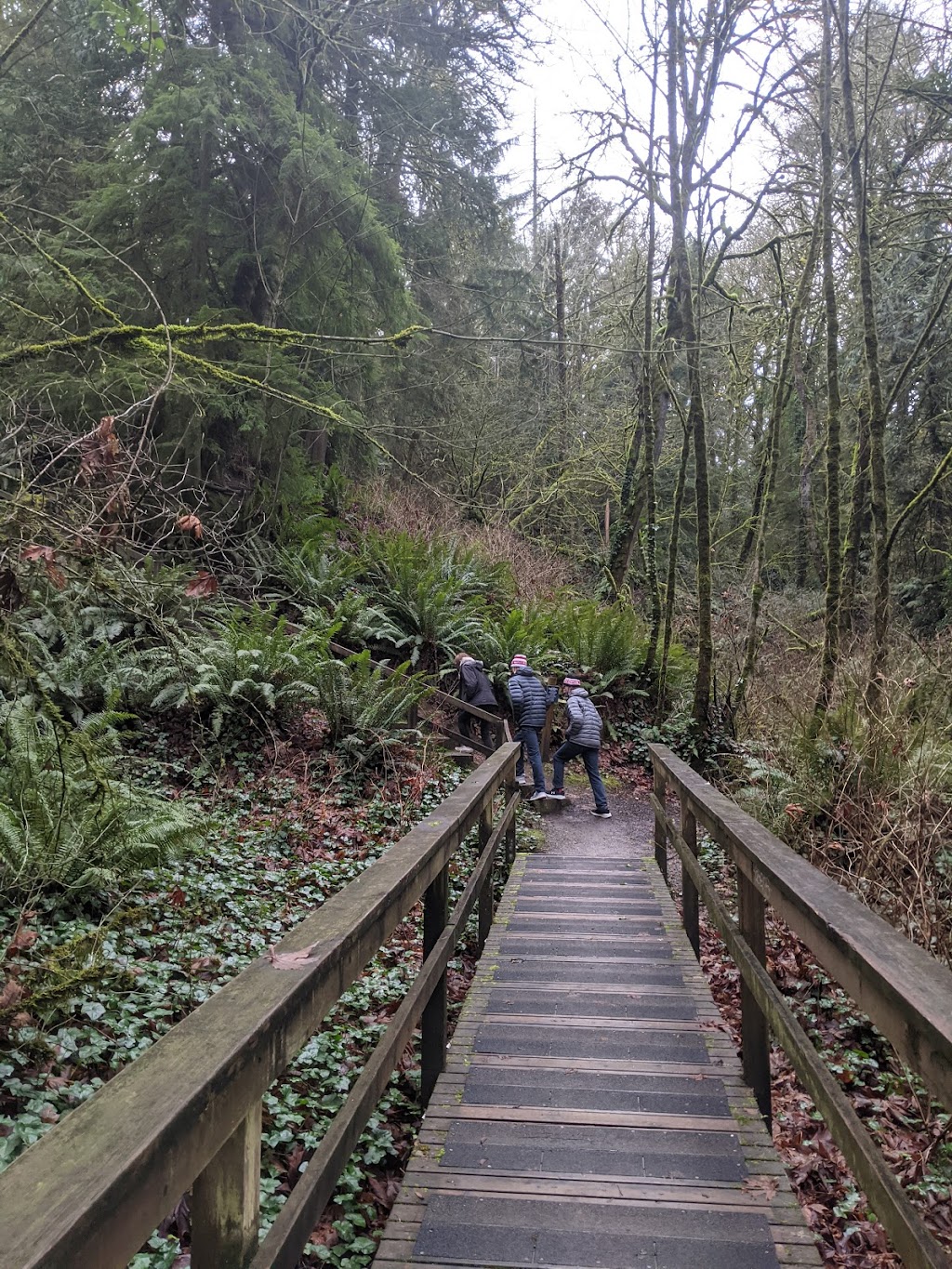 Illahee State Park | 3540 NE Sylvan Way, Bremerton, WA 98310, USA | Phone: (360) 478-6460