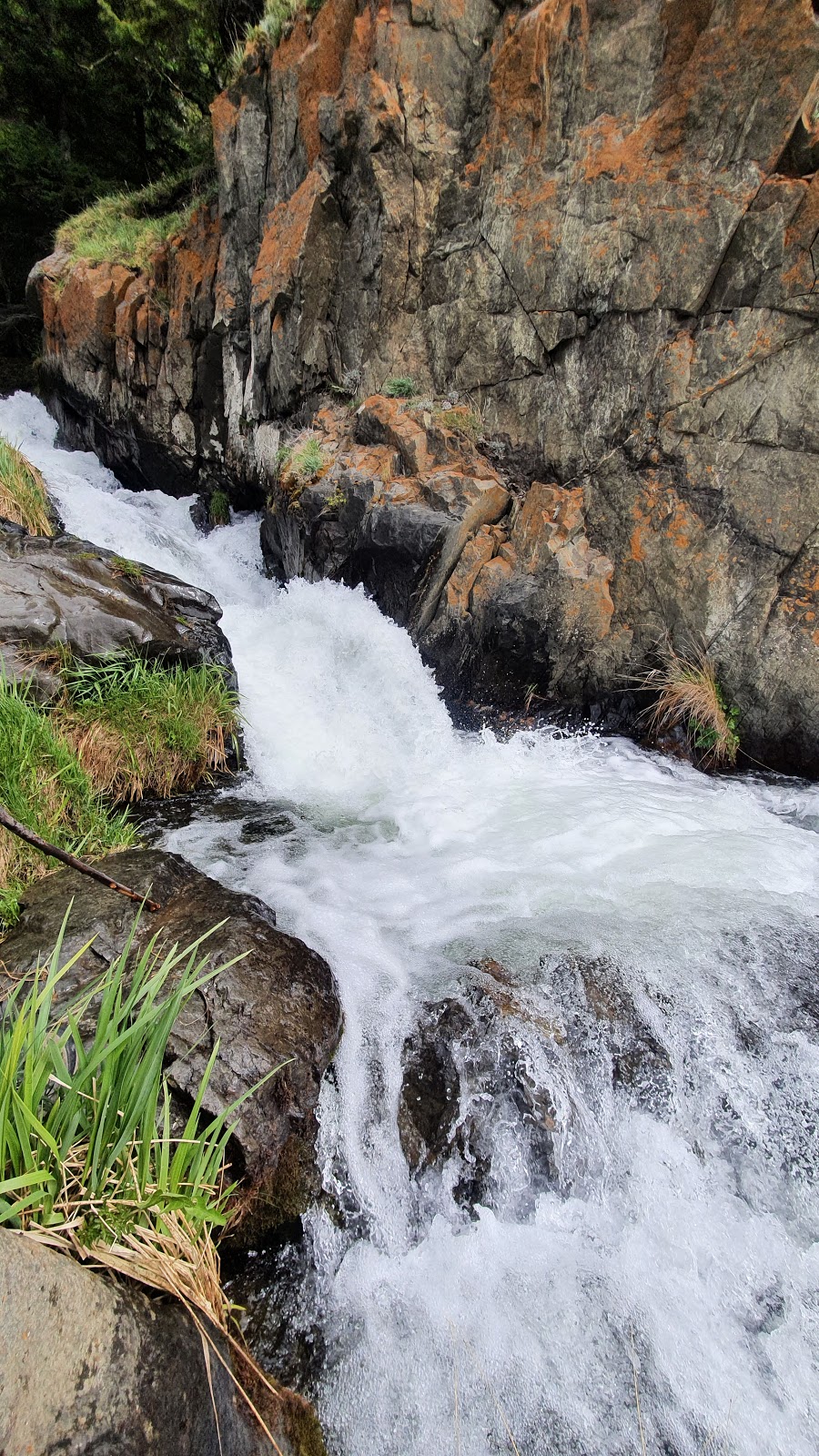 McHugh Creek Day Use Area | 111 Seward Hwy, Anchorage, AK 99507, USA | Phone: (907) 269-8400