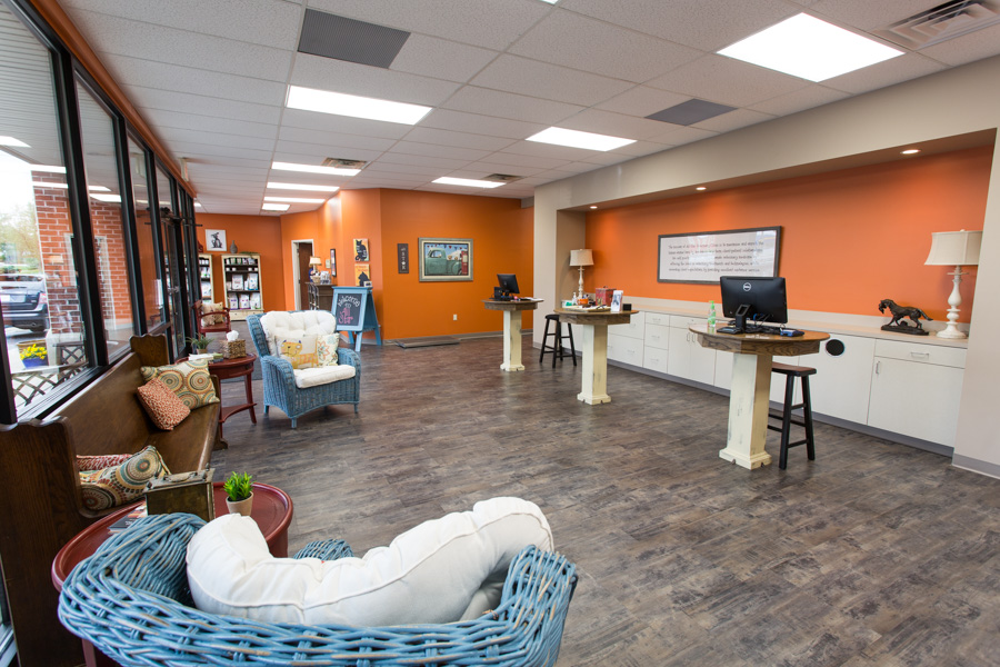 All-Star Veterinary Clinic | 789 E Main St, Westfield, IN 46074 | Phone: (317) 896-9993