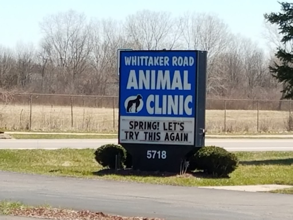 Whittaker Road Animal Clinic | 1842 Whittaker Rd, Ypsilanti, MI 48197, USA | Phone: (734) 485-8387