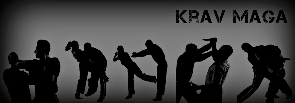 Executive Self Defense Krav Maga | 9630 Virginia Pkwy #500, McKinney, TX 75071, United States | Phone: (469) 777-6621