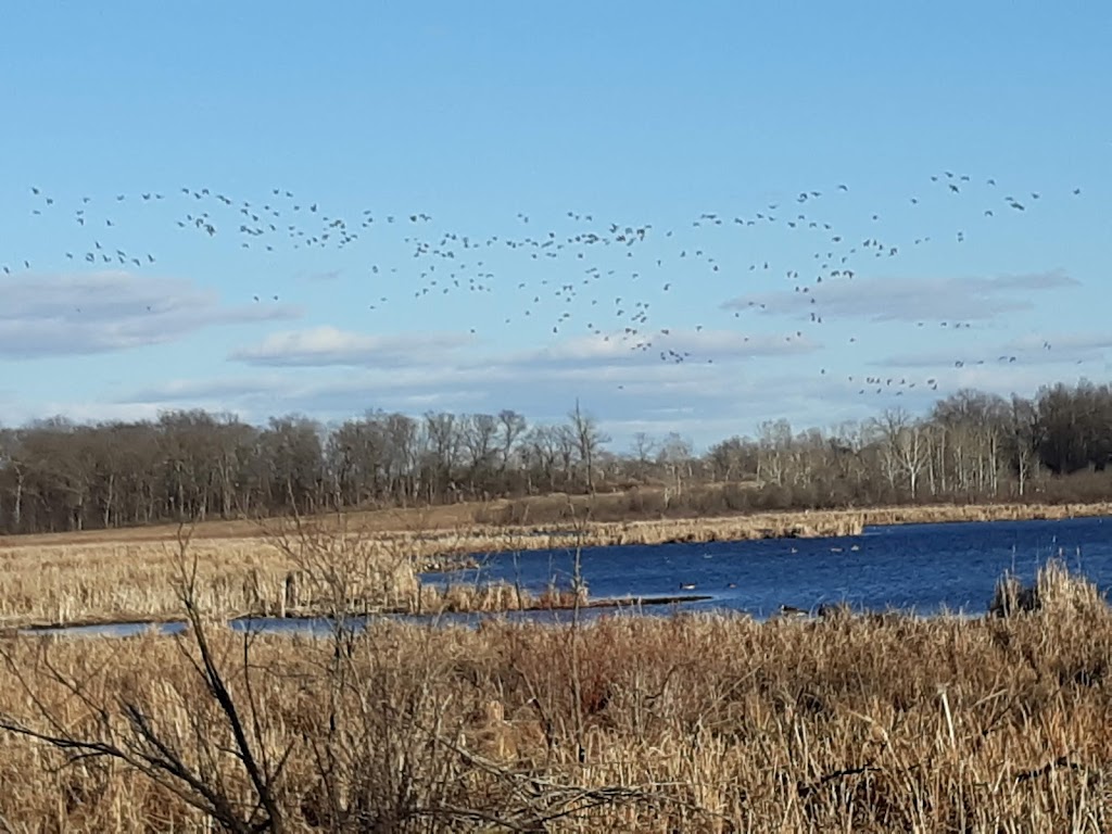 Mud Lake State Public Hunting Grounds | Rio, WI 53960, USA | Phone: (608) 267-2764