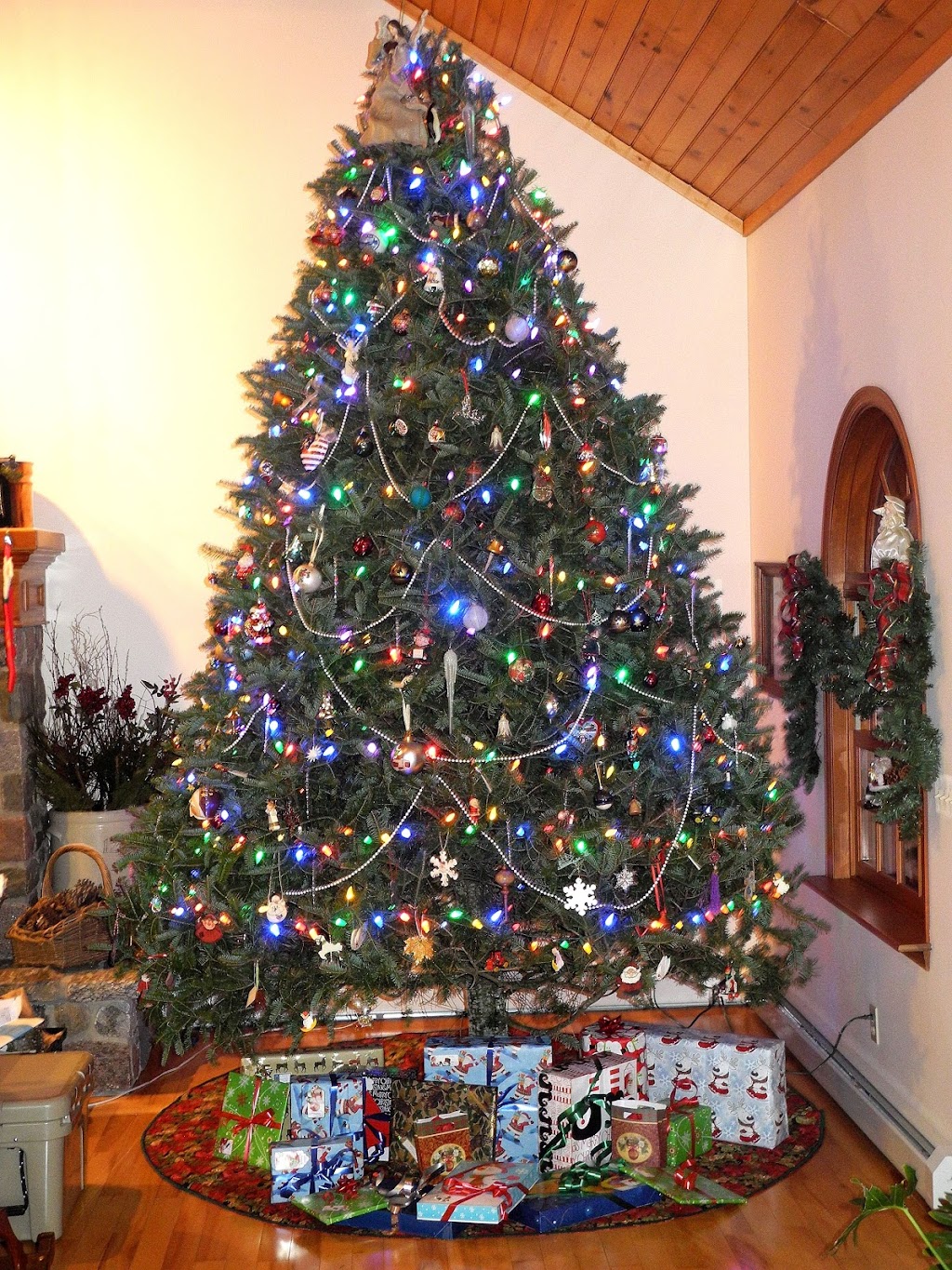 Kringle Christmas Tree Farm | 9298 NY-46, Westernville, NY 13486, USA | Phone: (315) 827-4534