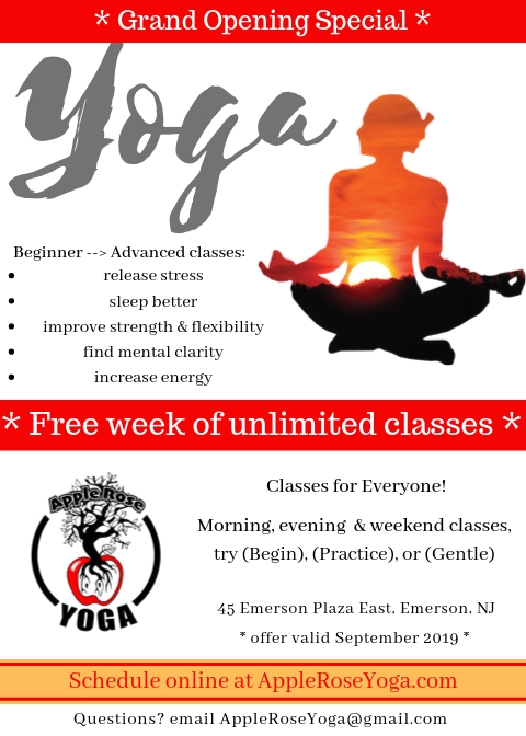 Apple Rose Yoga & Wellness Studio | 45 E Emerson Plaza W, Emerson, NJ 07630 | Phone: (201) 383-5830