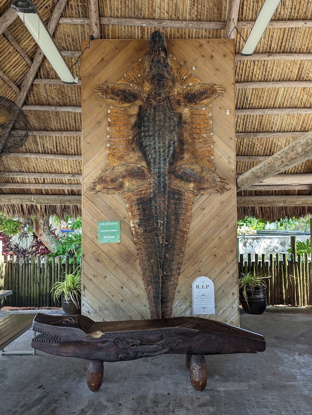 Everglades Alligator Farm | 40351 SW 192nd Ave, Homestead, FL 33034, USA | Phone: (305) 247-2628