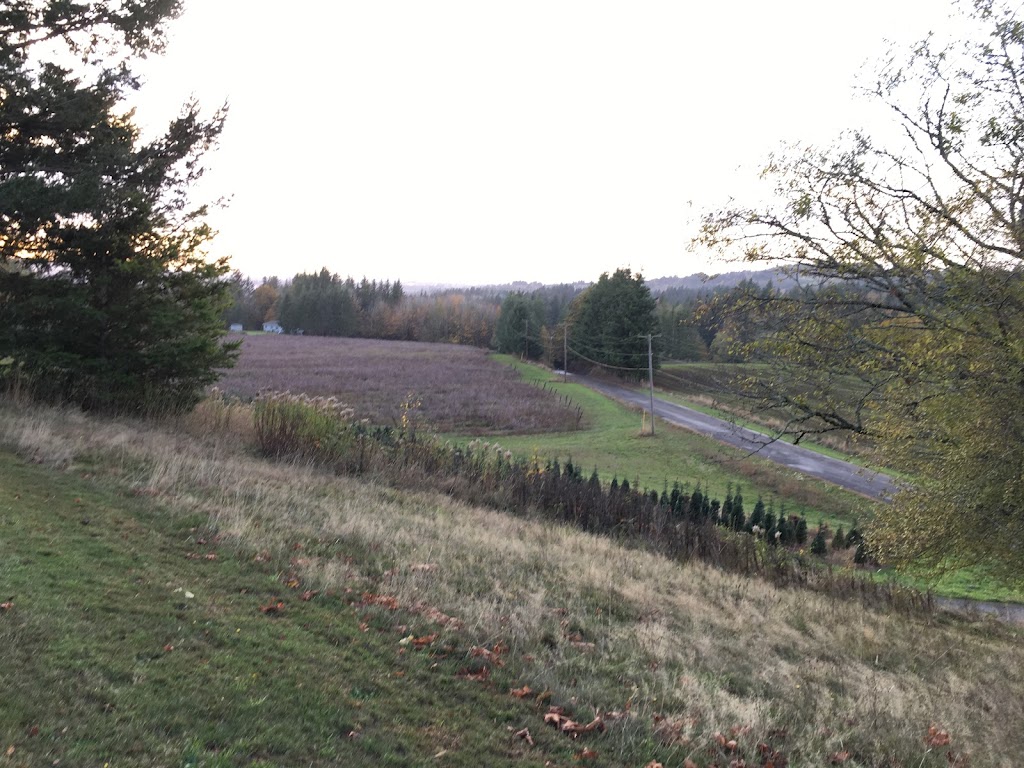 Mt. View Corbett Cemetery | SE Smith Rd, Corbett, OR 97019 | Phone: (503) 797-1709