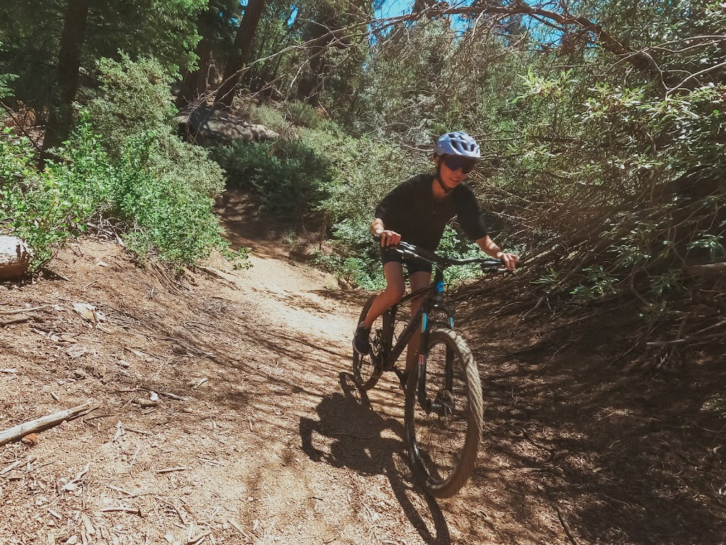 Big Bear Bike Tours | 288 Mallard Ln, Big Bear Lake, CA 92315, USA | Phone: (909) 494-2327