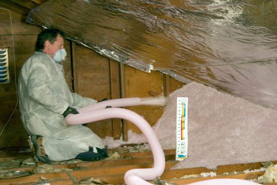 Albany Mold LLC | 133 Spring St 2nd fl, Albany, NY 12203, USA | Phone: (800) 727-0806