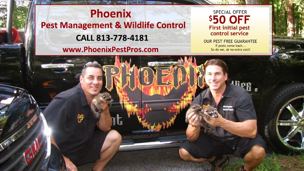Phoenix Pest Management and Wildlife Control | 705 Live Oak St Ste G, Tarpon Springs, FL 34689, USA | Phone: (727) 742-5197