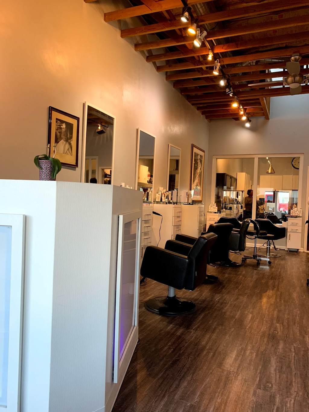 Crush Salon - Hermosa Beach | 69 14th St, Hermosa Beach, CA 90254, USA | Phone: (310) 341-8792