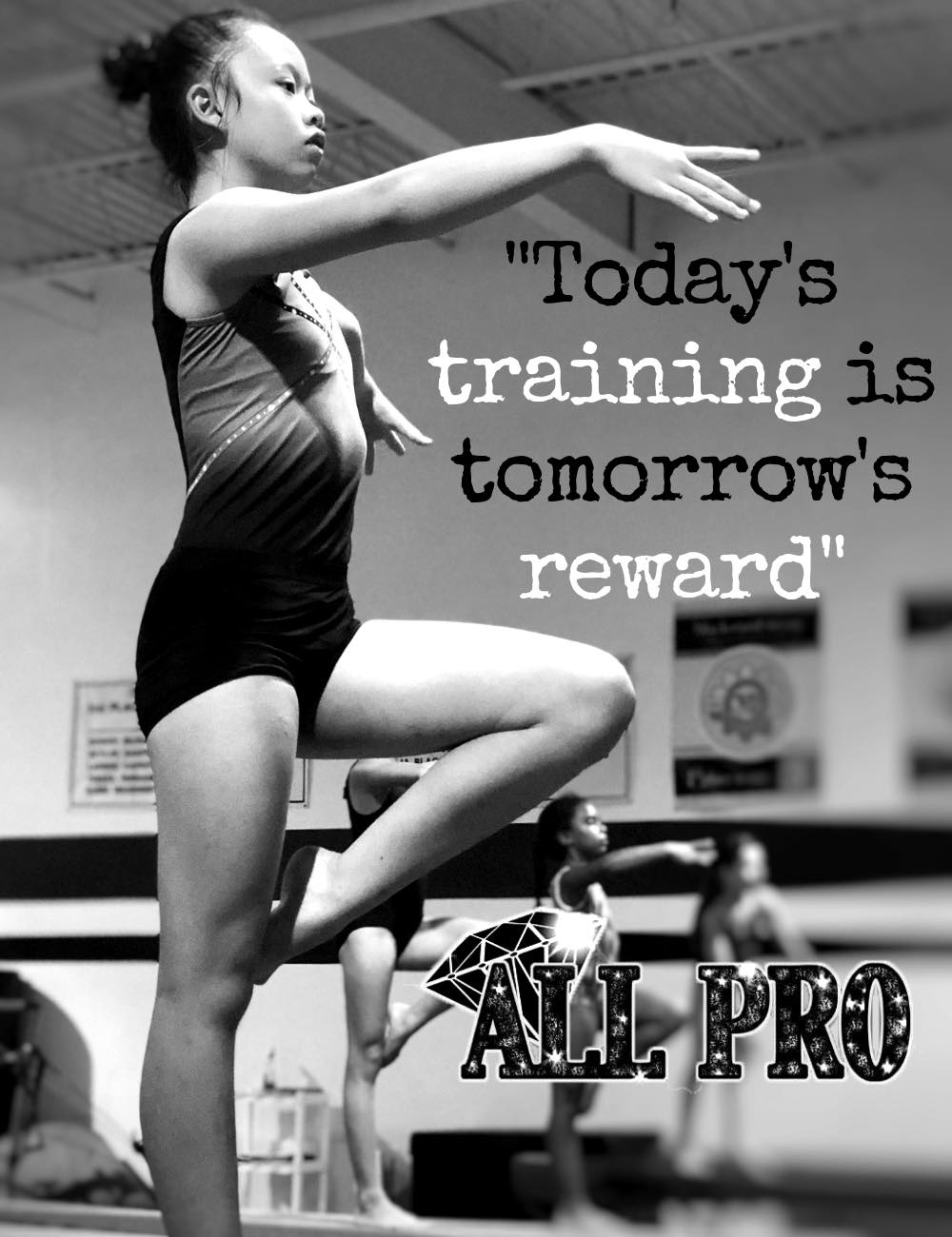 All Pro Gymnastics and Cheer Academy | 6685 Suite D, Santa Barbara Ct, Elkridge, MD 21075, USA | Phone: (410) 379-5439