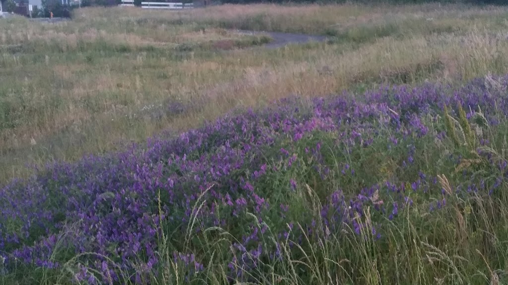 Bannister Creek Greenway | Northwest Laidlaw Road &, NW Bannister Dr, Portland, OR 97229, USA | Phone: (503) 629-6360