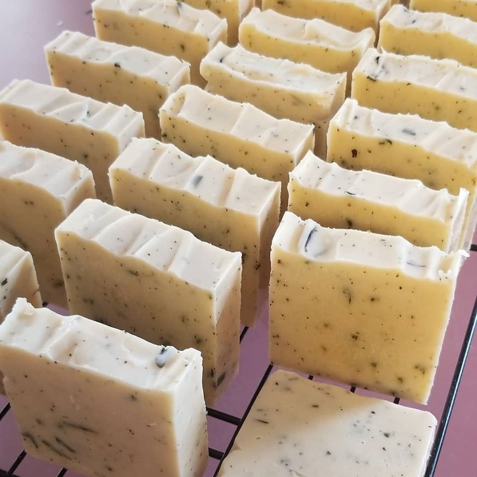 Barefoot Creek Farm Mobile Petting Zoo | 1100 Freedom Lane, Carthage, NC 28327, USA | Phone: (910) 286-9288