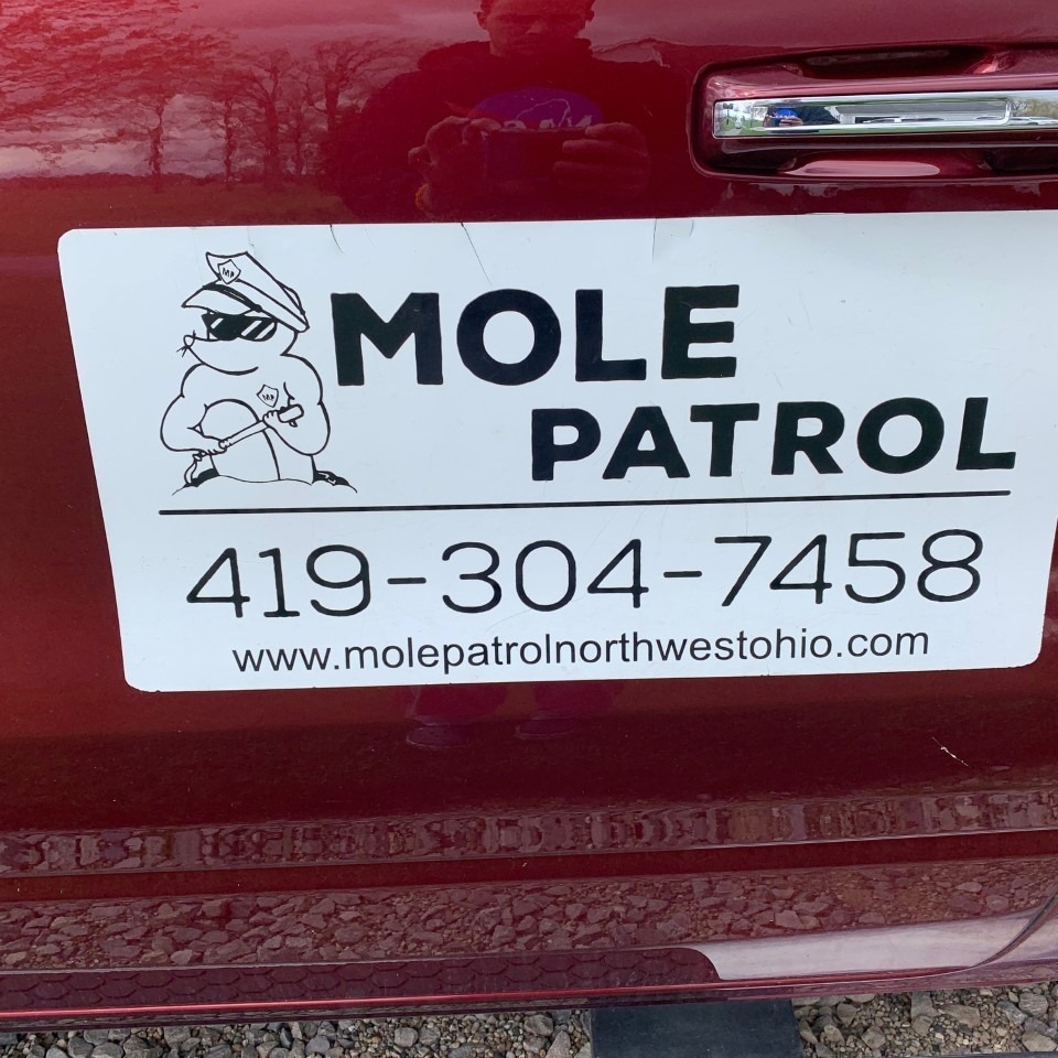 Mole Patrol | 20340 Cross Creek Rd, Bowling Green, OH 43402, USA | Phone: (419) 304-7458