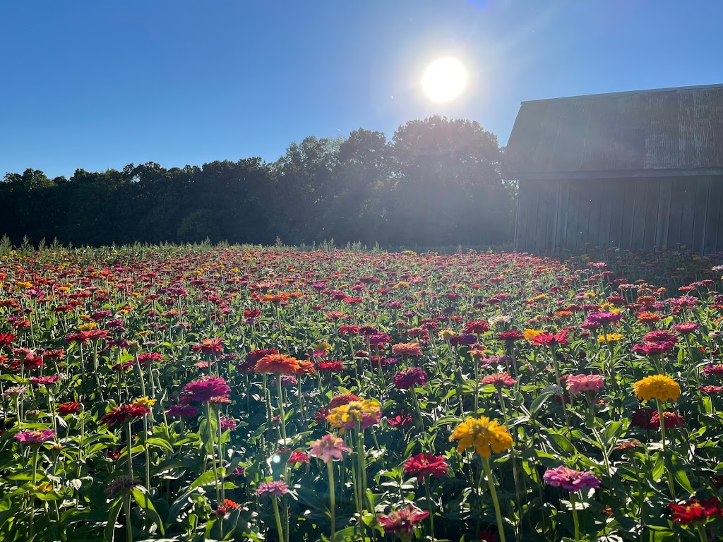 Honeysuckle Hill Farm | 1765 Martins Chapel Church Rd, Springfield, TN 37172, USA | Phone: (615) 382-7593