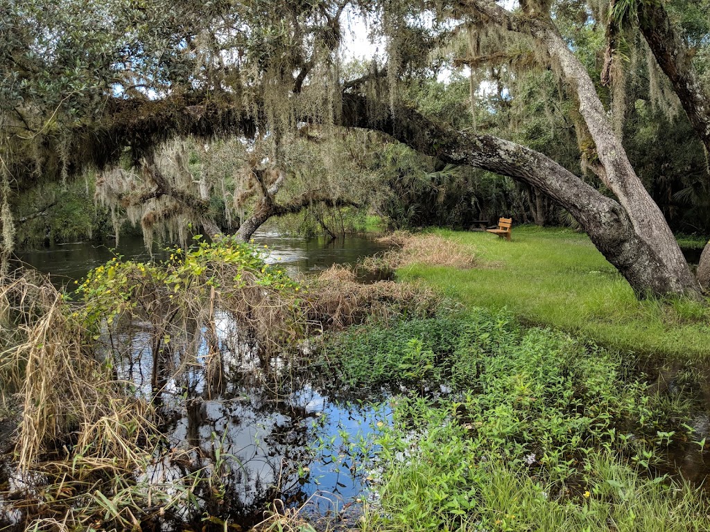 Myakka River State Park Clay Gully Picnic Area | 28722 Clay Gully Rd, Myakka City, FL 34251, USA | Phone: (941) 361-6511