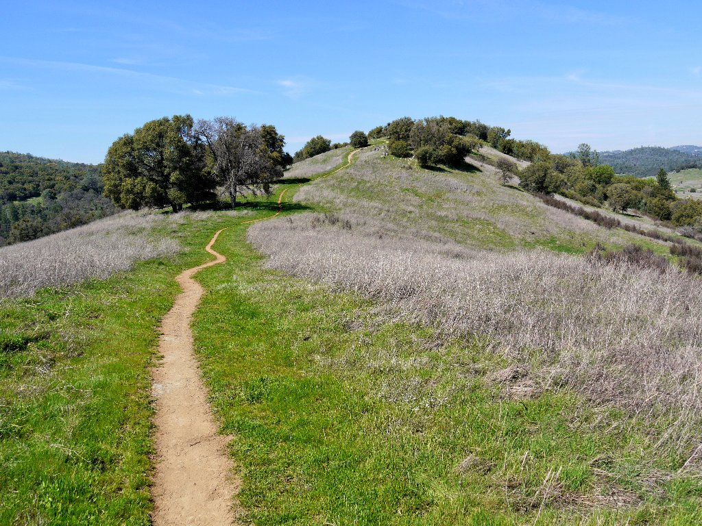 DeepGreen Fitness + Adventures | 2601 Concord Ave, Davis, CA 95618, USA | Phone: (530) 400-0675