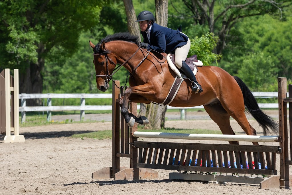 Stockade Polo & Saddle Club | 505 Sacandaga Rd, Schenectady, NY 12302 | Phone: (518) 384-0333