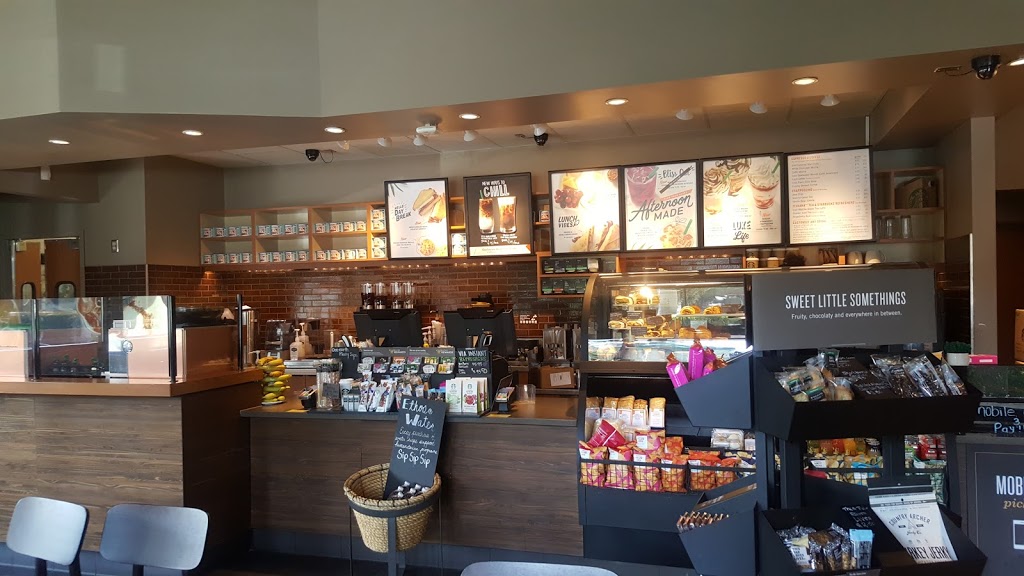 Starbucks | 2206 Torrey Pines Rd B, La Jolla, CA 92037, USA | Phone: (858) 454-4423 Starbucks | 2206 Torrey Pines Rd B, La Jolla, CA 92037, USA | Phone: (858) 454-4423