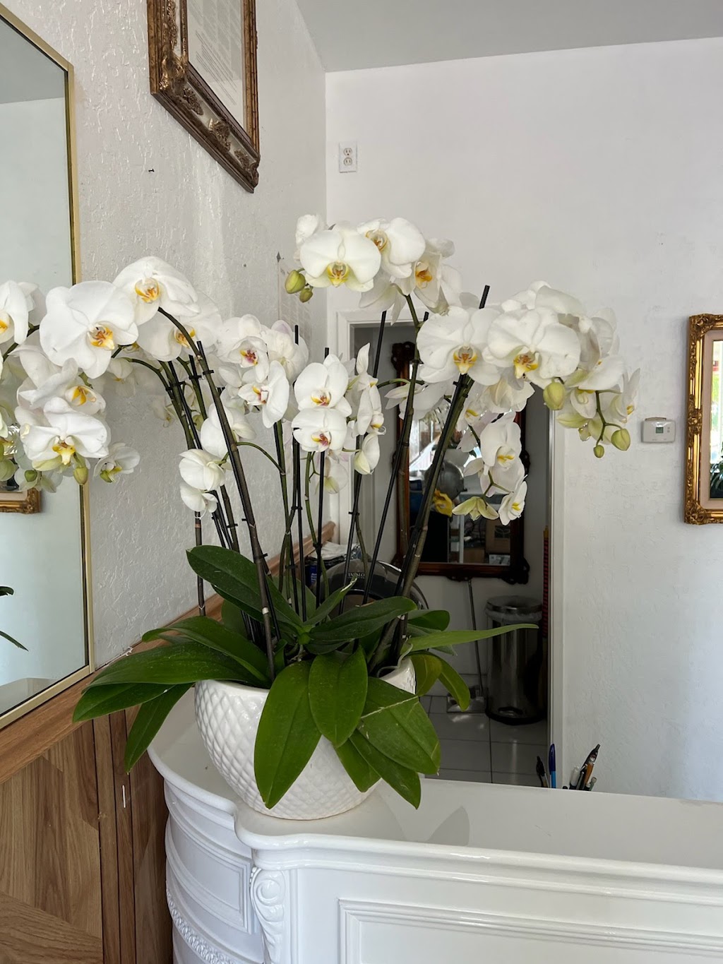 Nina’s Hair Salon | 1431 Branham Ln, San Jose, CA 95118, USA | Phone: (408) 723-3371