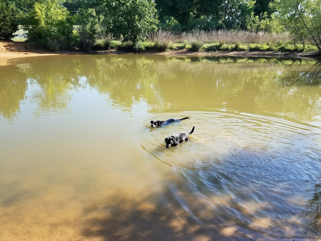 Wiggly Field Dog Park | 1760 E Ryan Rd, Denton, TX 76210, USA | Phone: (940) 349-7275