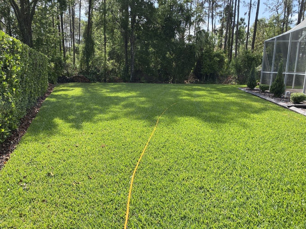 Benchmark Turf Management llc | 28747 Walker Dr, Wesley Chapel, FL 33544, USA | Phone: (813) 701-6999 Benchmark Turf Management llc | 28747 Walker Dr, Wesley Chapel, FL 33544, USA | Phone: (813) 701-6999